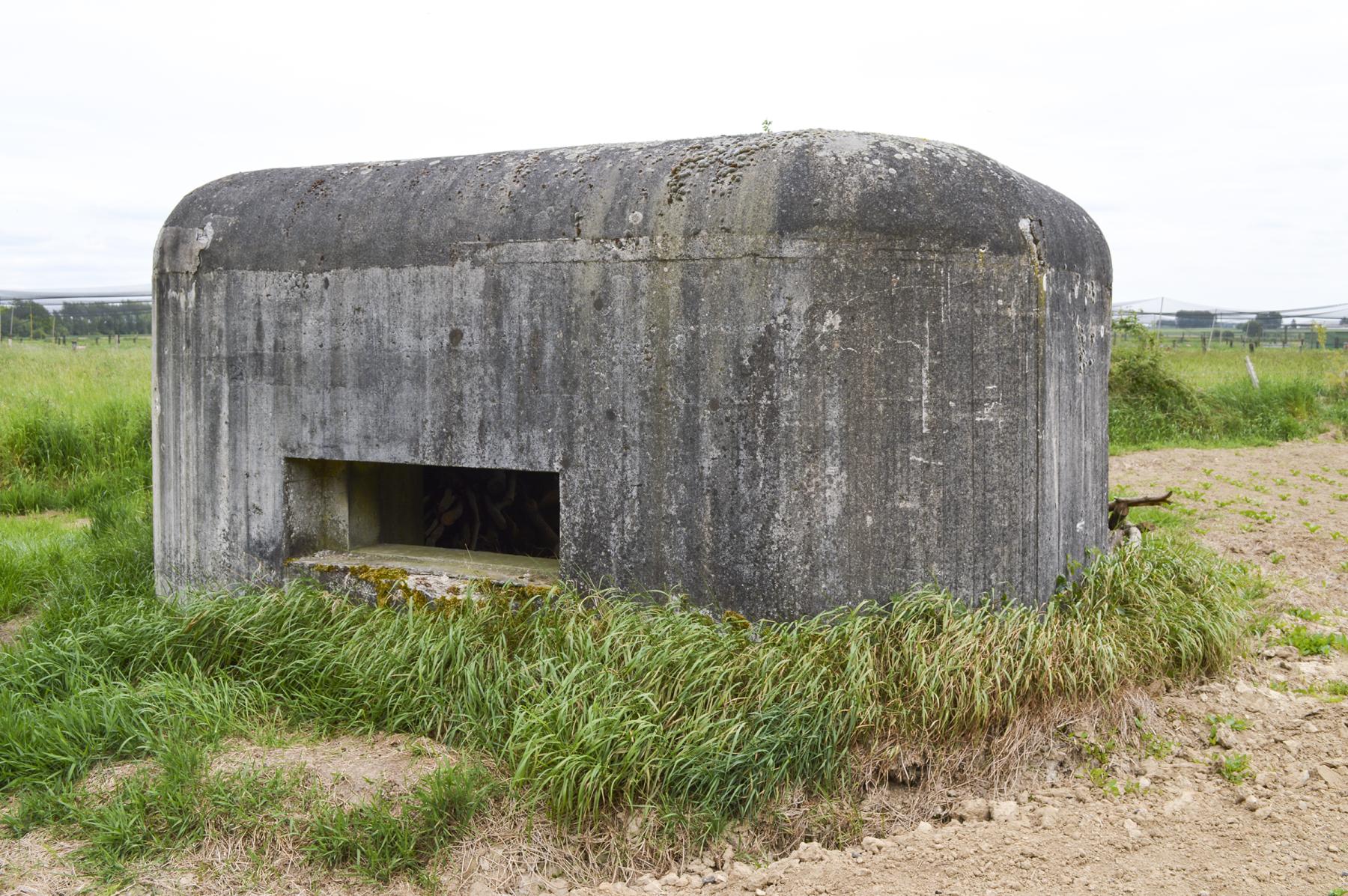Ligne Maginot - B346 - BOIS DE VARLET SUD 1 - (Blockhaus pour canon) -  - ukmaginot