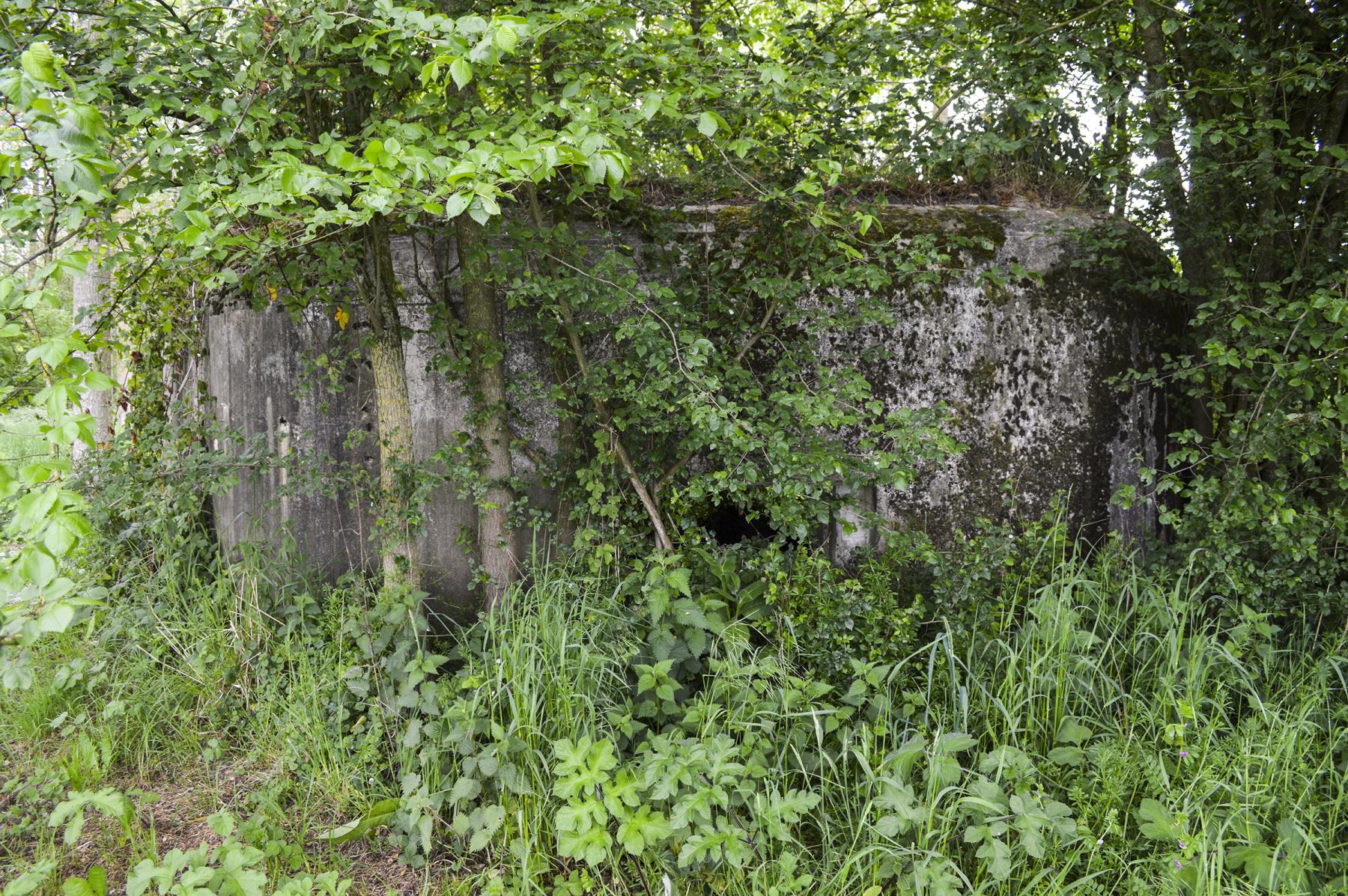 Ligne Maginot - B343 - BOIS DE BERCU NORD - (Blockhaus pour canon) -  - ukmaginot