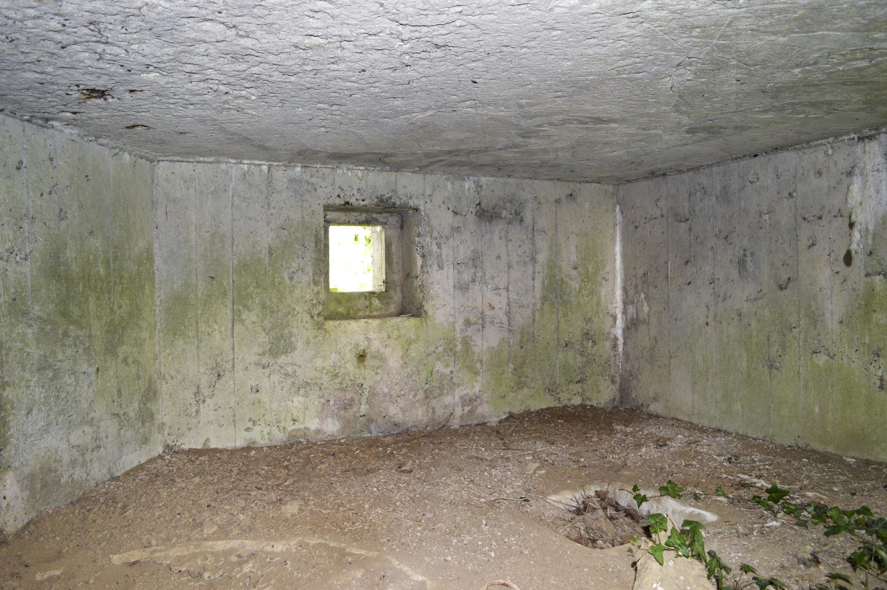Ligne Maginot - B343 - BOIS DE BERCU NORD - (Blockhaus pour canon) -  - ukmaginot