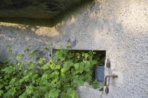 Ligne Maginot - B338 - CHATEAU DU FAY - (Blockhaus pour canon) - 