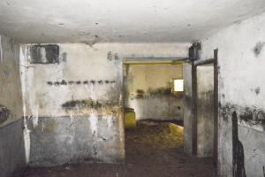 Ligne Maginot - B536 - LA TOURNICHETTE - (Blockhaus pour canon) - 