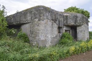 Ligne Maginot - B537 - LA FLAMENGRIE - (Blockhaus pour canon) - 