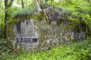 Ligne Maginot - B599 - BOIS DES ECOLIERS OUEST - (Blockhaus pour canon) - 