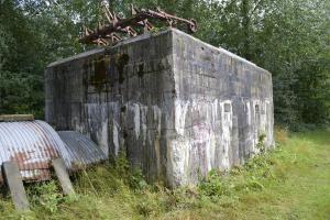 Ligne Maginot - BEF 384 - BOIS DE VARLET - (Abri) - 