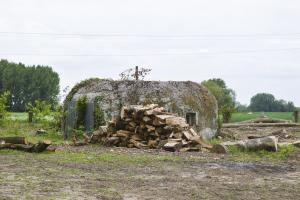 Ligne Maginot - BEF 385 - BOIS DE BERCU - (Blockhaus pour arme infanterie) - 