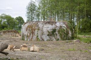 Ligne Maginot - BEF 385 - BOIS DE BERCU - (Blockhaus pour arme infanterie) - 