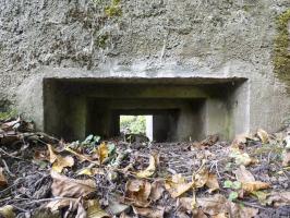Ligne Maginot - BB15 - TRIEUX DU CHENET - (Blockhaus pour arme infanterie) - 