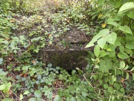 Ligne Maginot - BB53 - LA CARBONNIERE NORD - (Blockhaus pour canon) - Entrée.