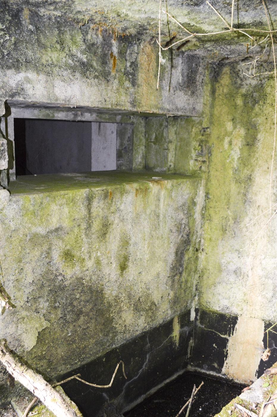 Ligne Maginot - B342 - MARAIS DE BERCU - (Blockhaus pour canon) -  - ukmaginot