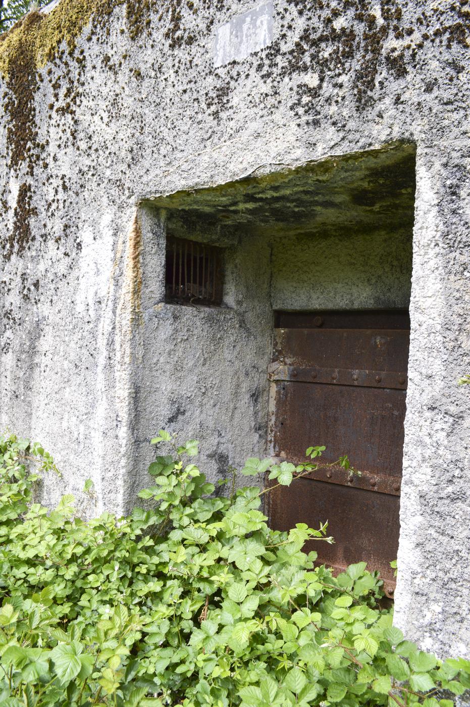 Ligne Maginot - B342 - MARAIS DE BERCU - (Blockhaus pour canon) -  - ukmaginot