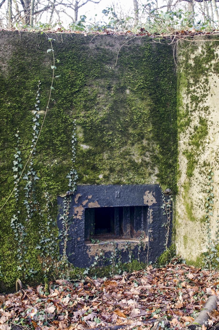 Ligne Maginot - CB277 - IDLINGEN - (Blockhaus pour arme infanterie) -  - Lia VERMEULEN