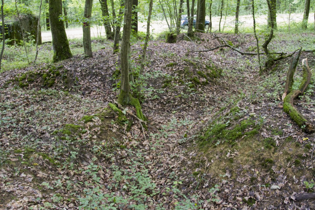 Ligne Maginot - CB277 - IDLINGEN - (Blockhaus pour arme infanterie) - Vestiges de tranchées à proximité immédiate du blockhaus - Michel Teiten