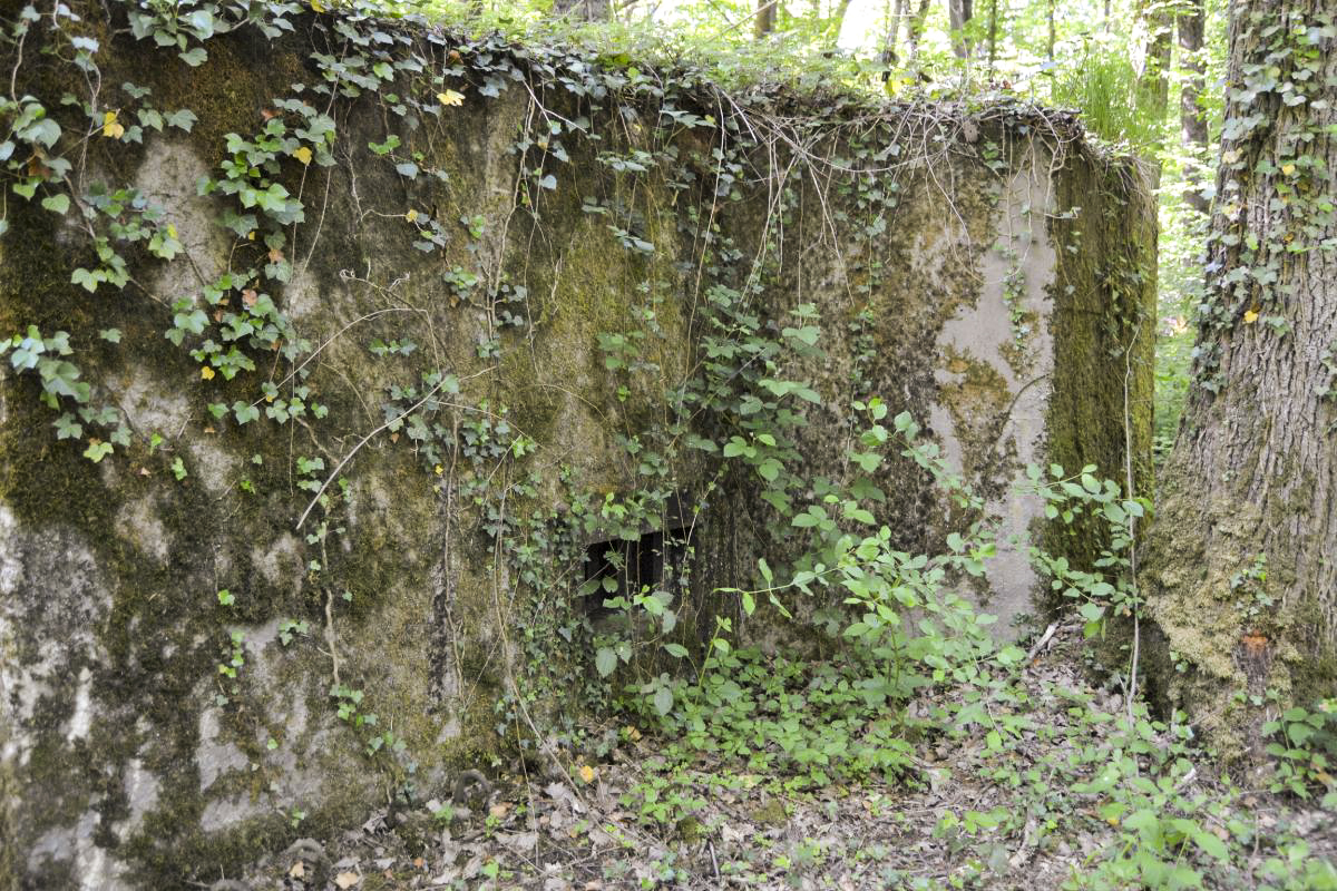 Ligne Maginot - CB277 - IDLINGEN - (Blockhaus pour arme infanterie) - Créneau de tir de la mitrailleuse et oreillon de protection latérale. - Jules MATHIEU