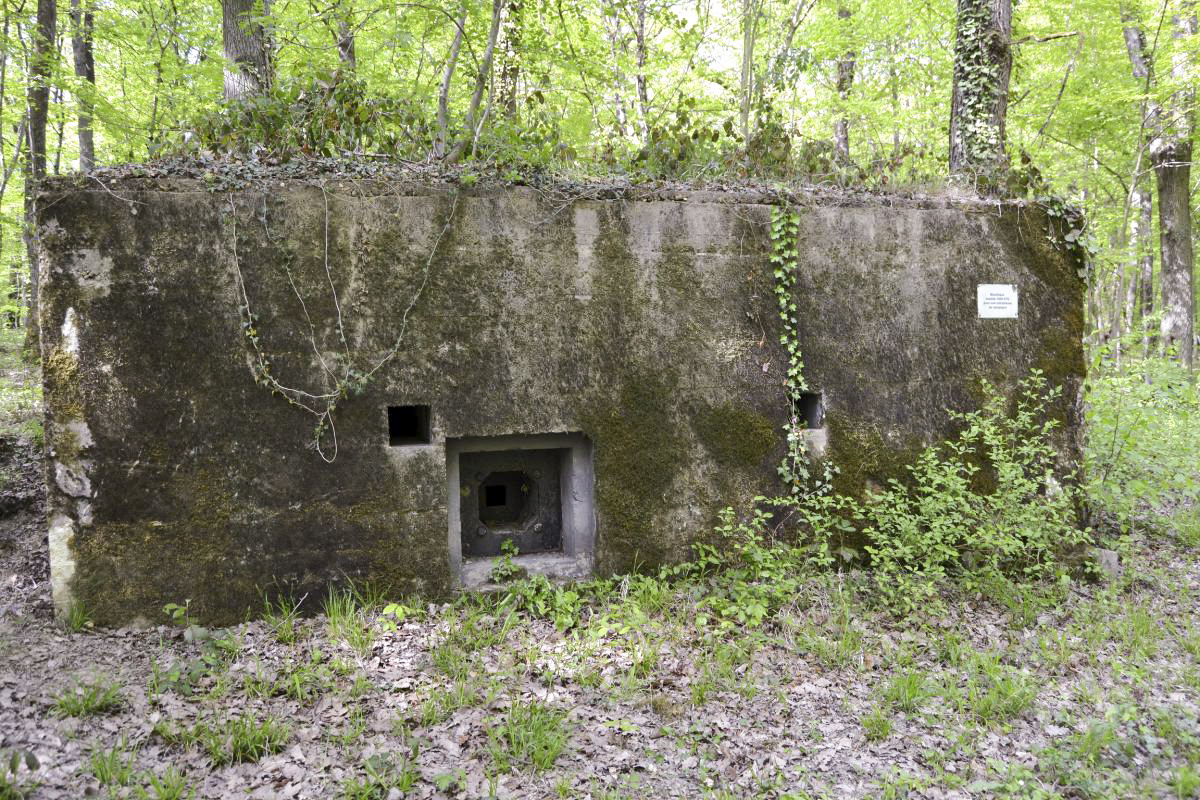 Ligne Maginot - CB277 - IDLINGEN - (Blockhaus pour arme infanterie) - Façade latérale côté route militaire. - Jules MATHIEU