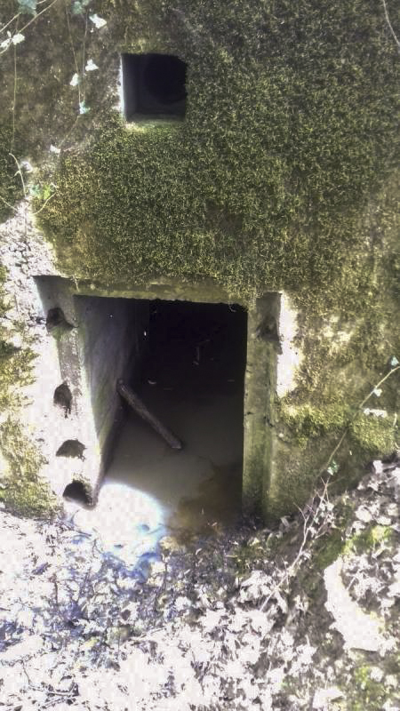 Ligne Maginot - CB277 - IDLINGEN - (Blockhaus pour arme infanterie) - L'entrée du blockhaus inondé. - Hugo