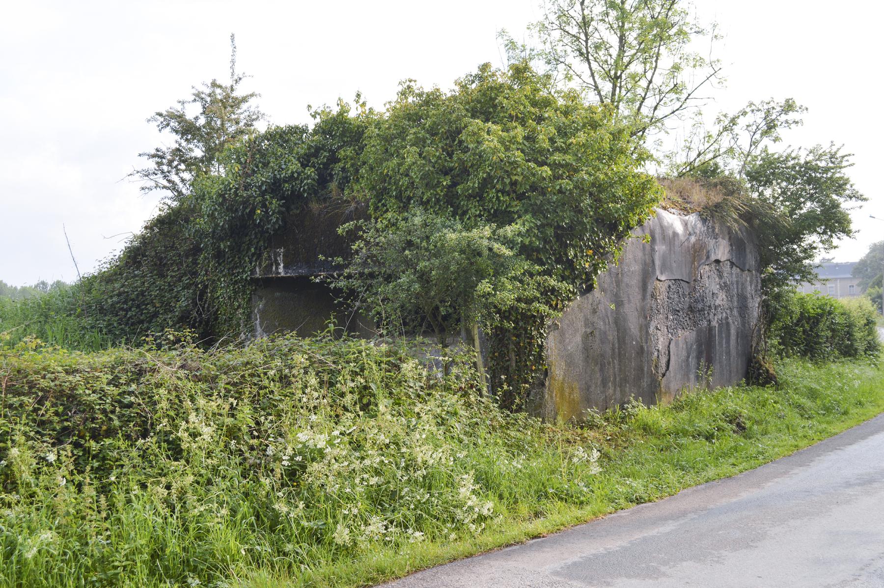 Ligne Maginot - B529 - BOIS DE LA FERRIERE SUD - (Blockhaus pour canon) -  - ukmaginot
