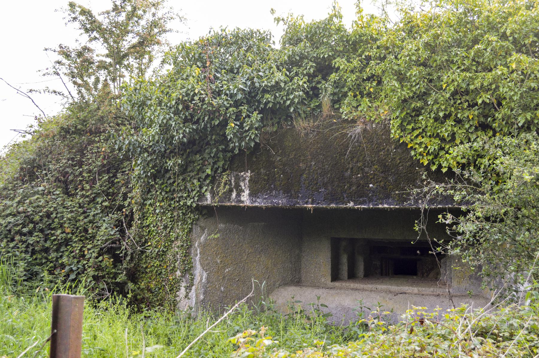 Ligne Maginot - B529 - BOIS DE LA FERRIERE SUD - (Blockhaus pour canon) -  - ukmaginot