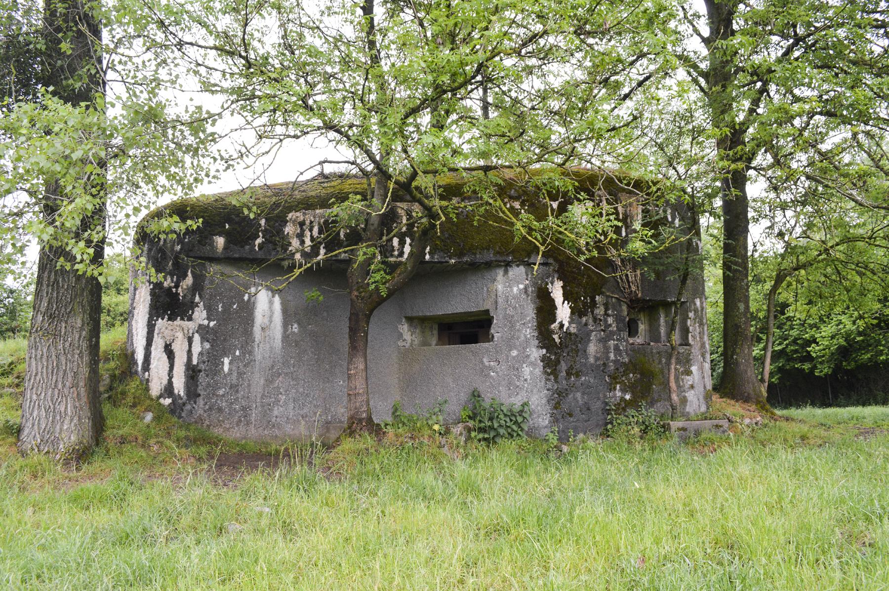 Ligne Maginot - B536 - LA TOURNICHETTE - (Blockhaus pour canon) -  - ukmaginot