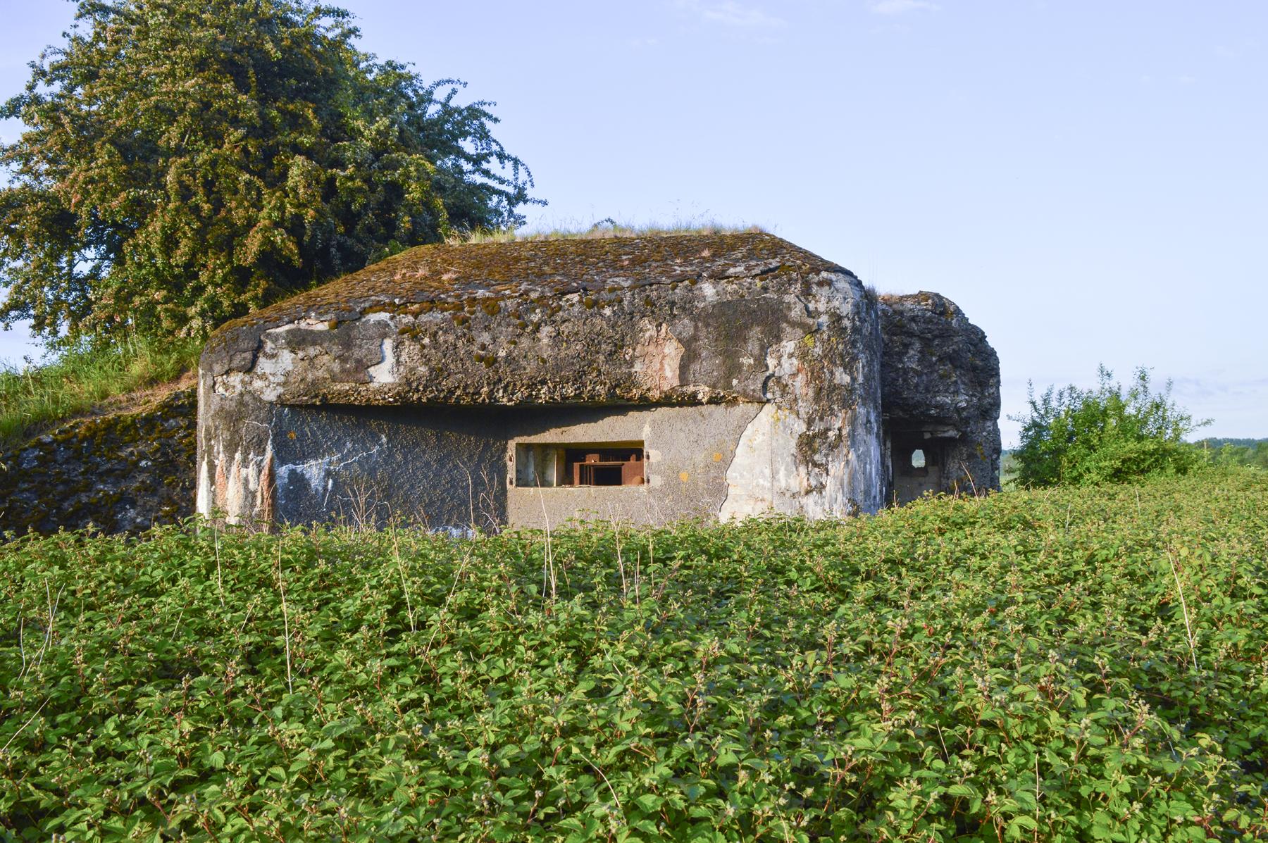 Ligne Maginot - B541 - PERCHE ROMPUE - (Blockhaus pour canon) -  - ukmaginot