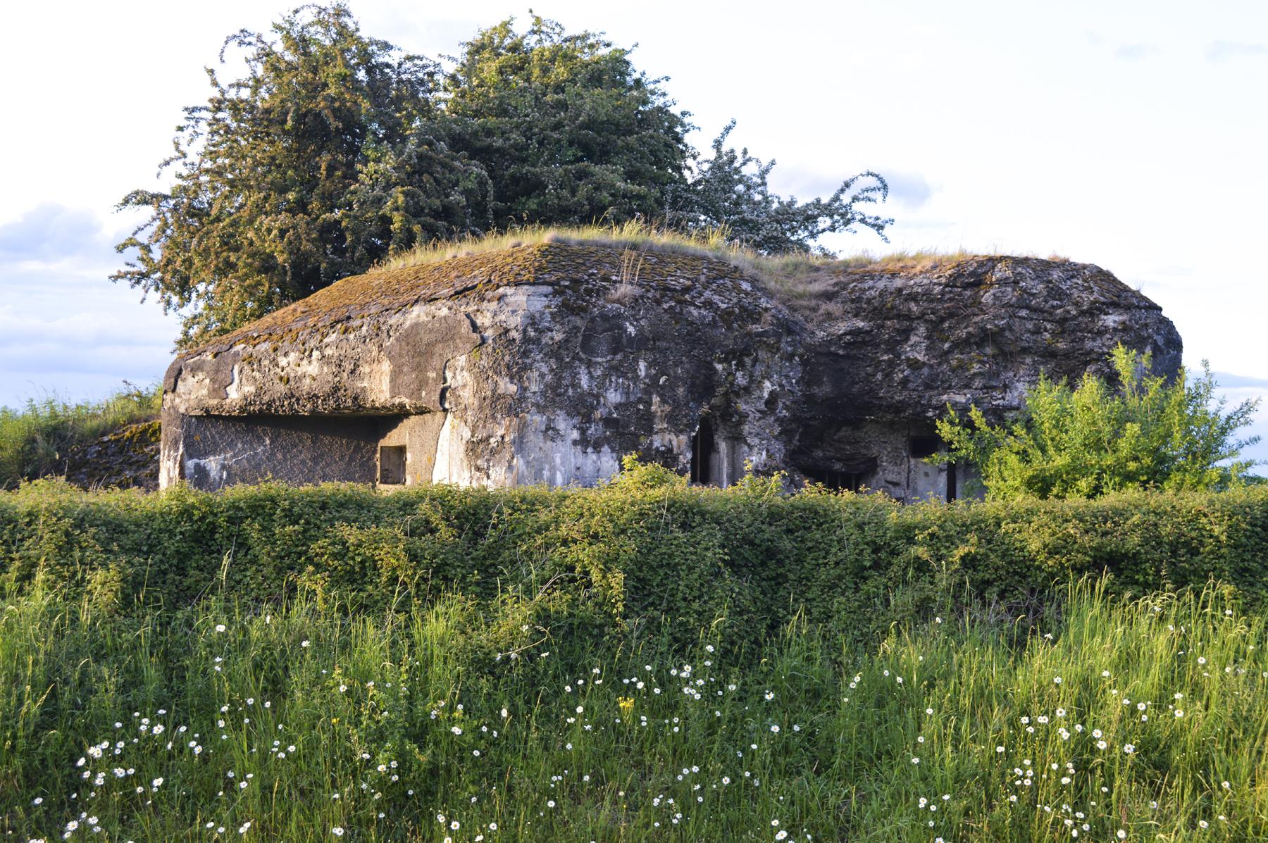 Ligne Maginot - B541 - PERCHE ROMPUE - (Blockhaus pour canon) -  - ukmaginot