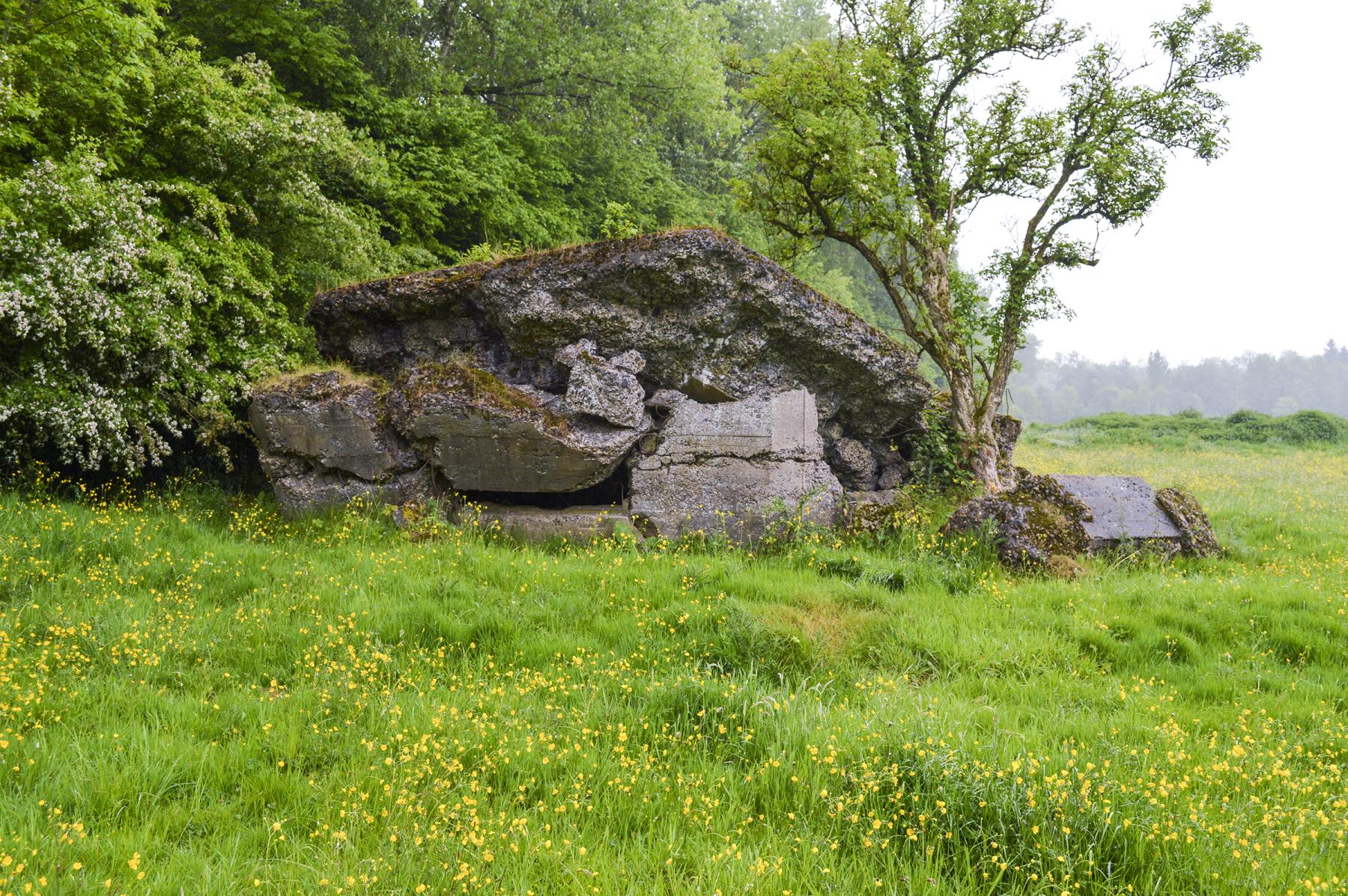 Ligne Maginot - B598 - CORON D'AMOUR - (Blockhaus pour canon) -  - ukmaginot