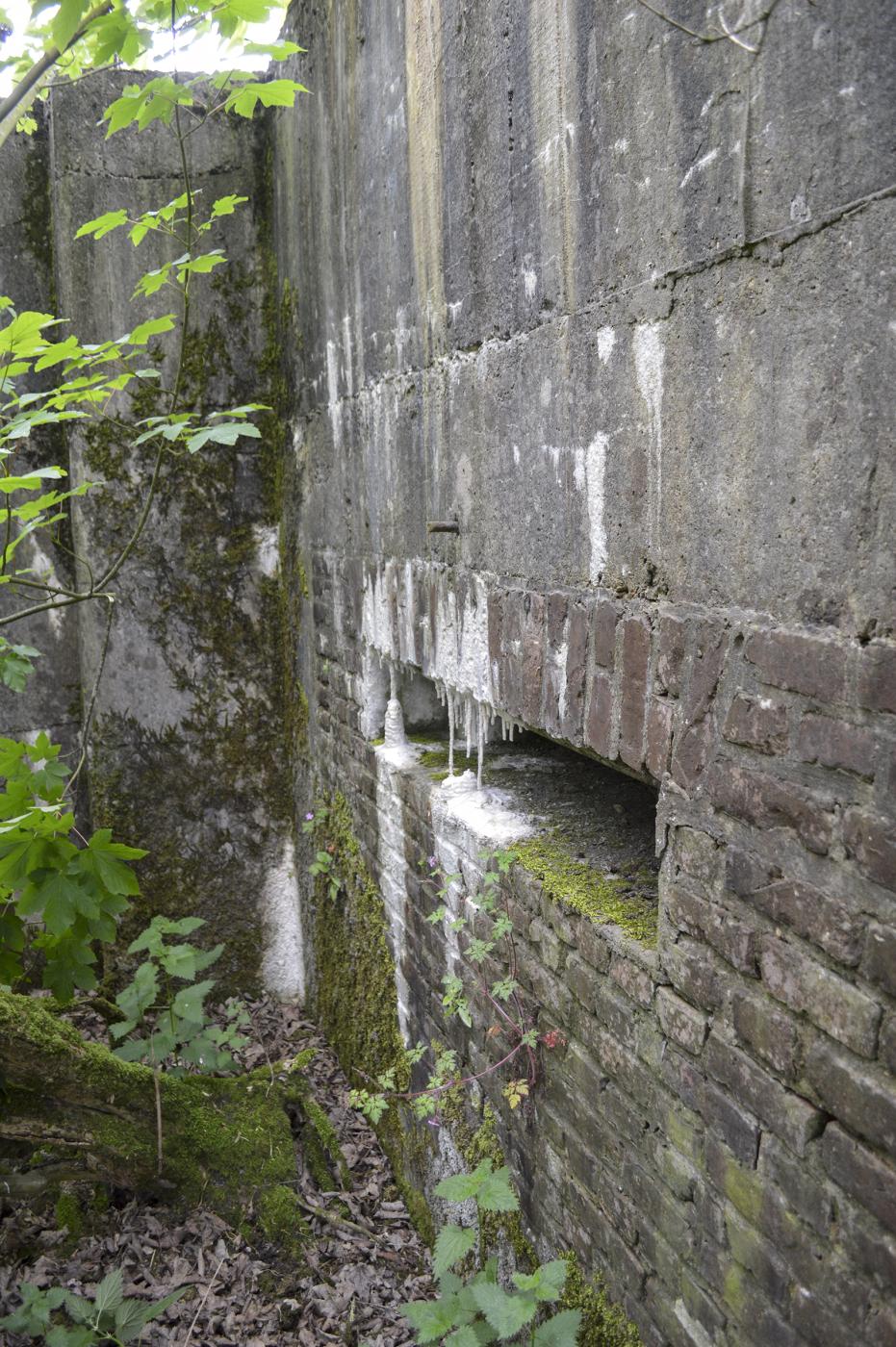 Ligne Maginot - BEF 202 - BABERMONT SUD - (Blockhaus pour arme infanterie) -  - ukmaginot
