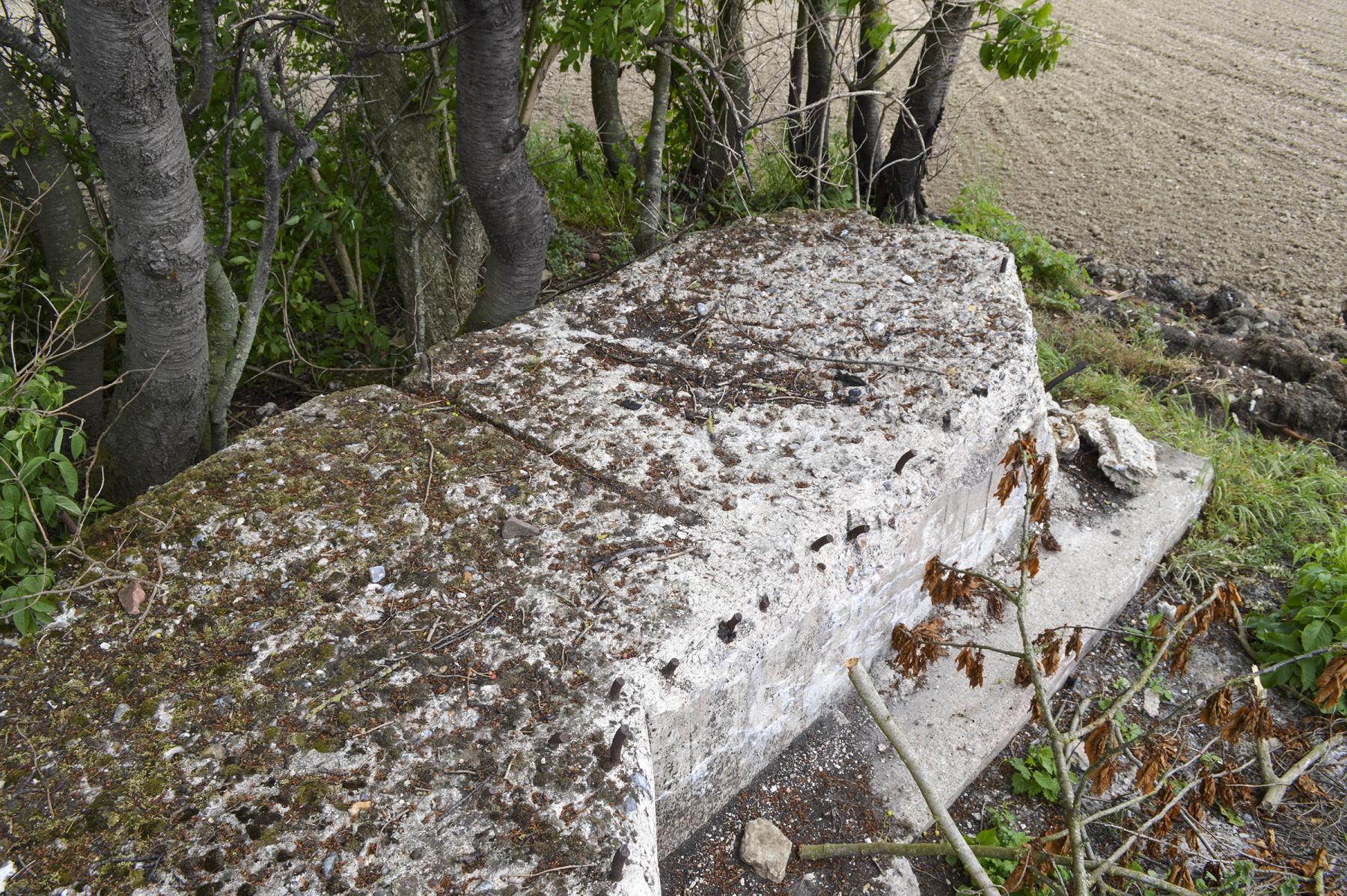 Ligne Maginot - BEF 340 - BLONDE RUE SUD - (Blockhaus pour canon) -  - ukmaginot