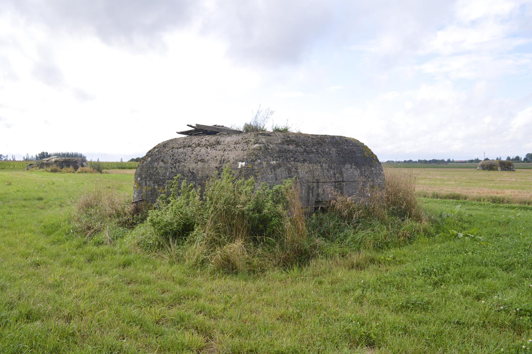 Ligne Maginot - BEF 355 - BAS DU CHEMIN DE CAMPHIN 3 - (Blockhaus pour arme infanterie) -  - ukmaginot