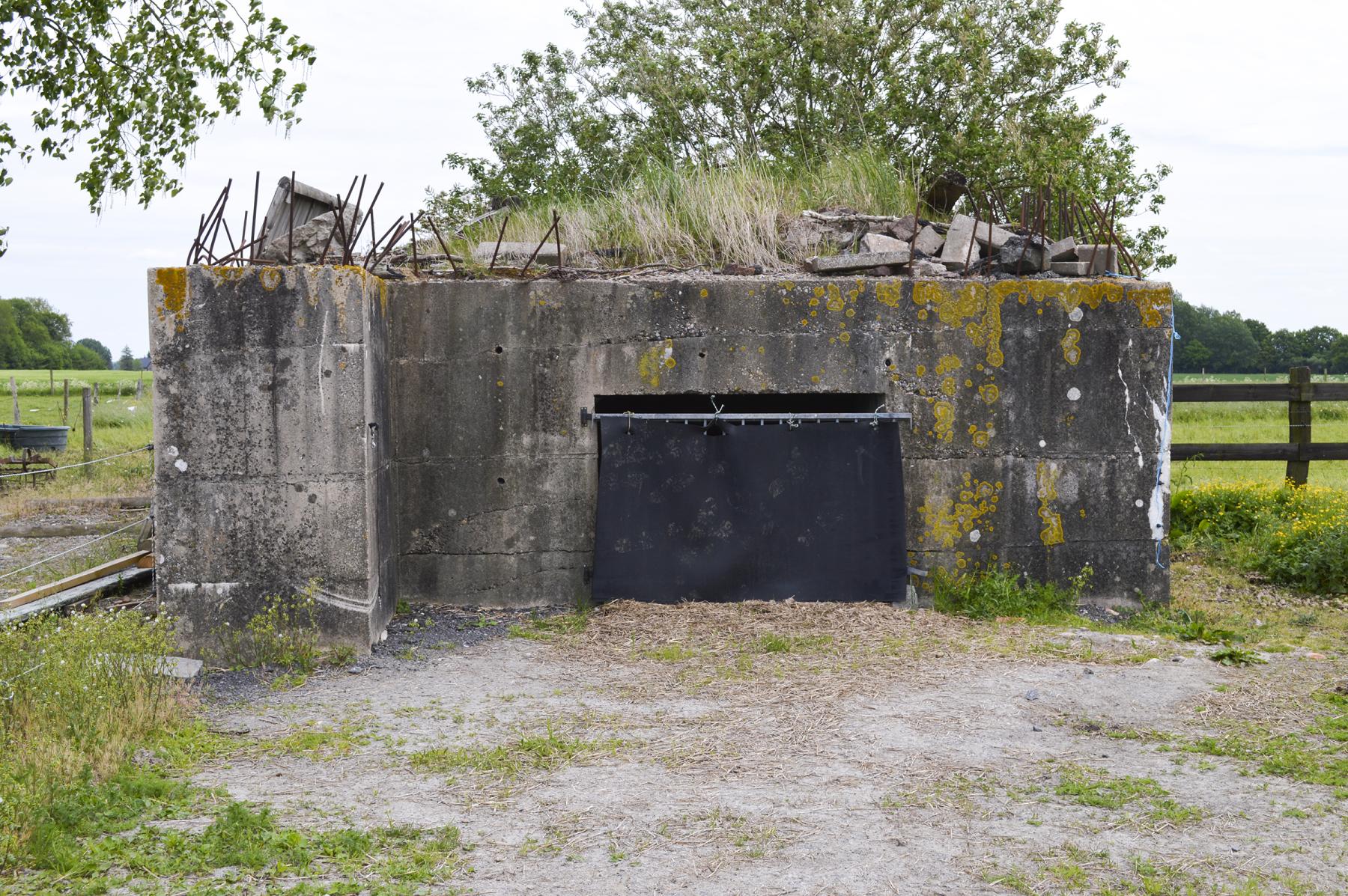 Ligne Maginot - BEF 349 - BOIS DES TOURELLES - (Blockhaus pour canon) -  - ukmaginot