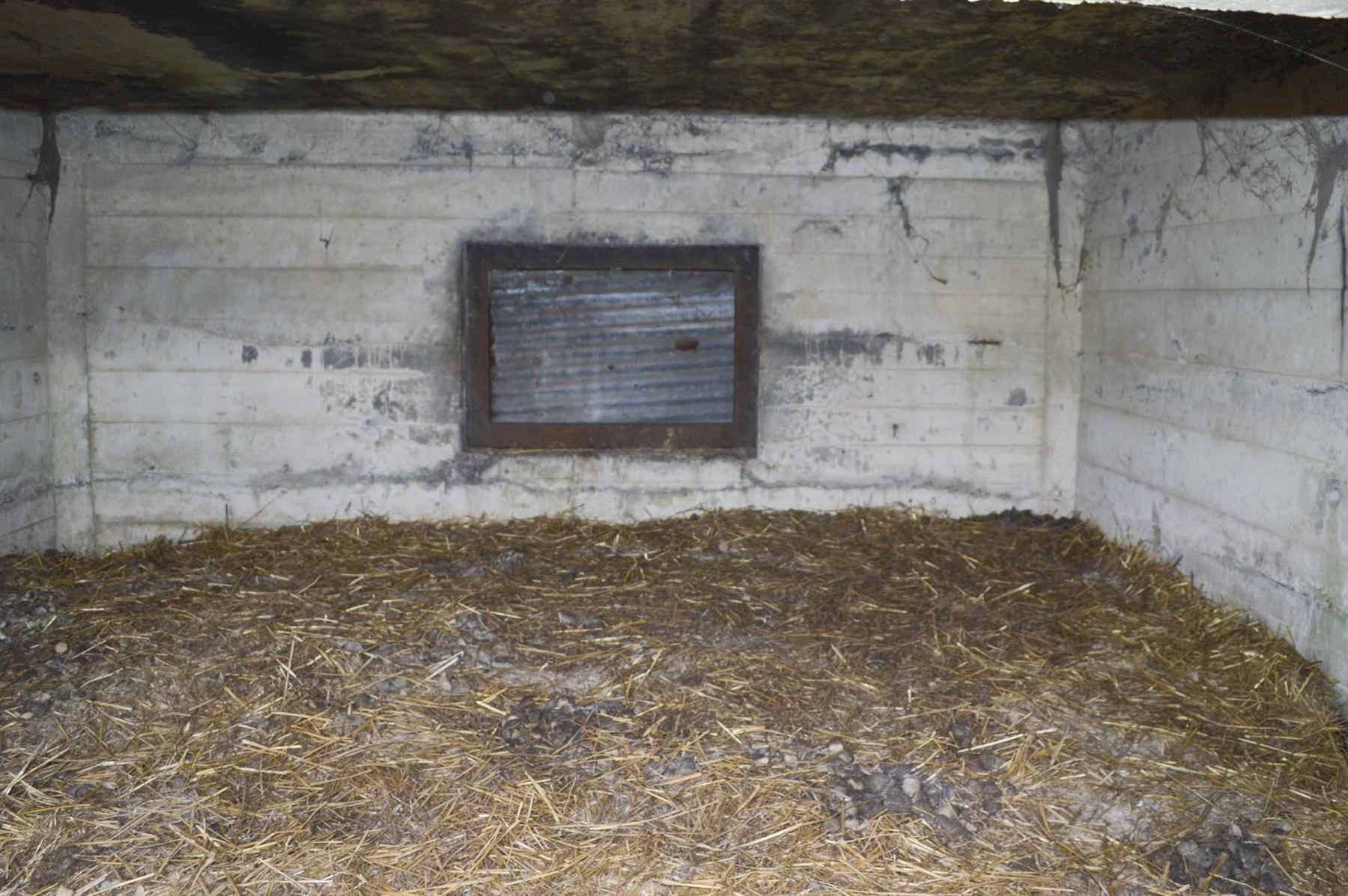 Ligne Maginot - BEF 349 - BOIS DES TOURELLES - (Blockhaus pour canon) - L'intérieur - ukmaginot