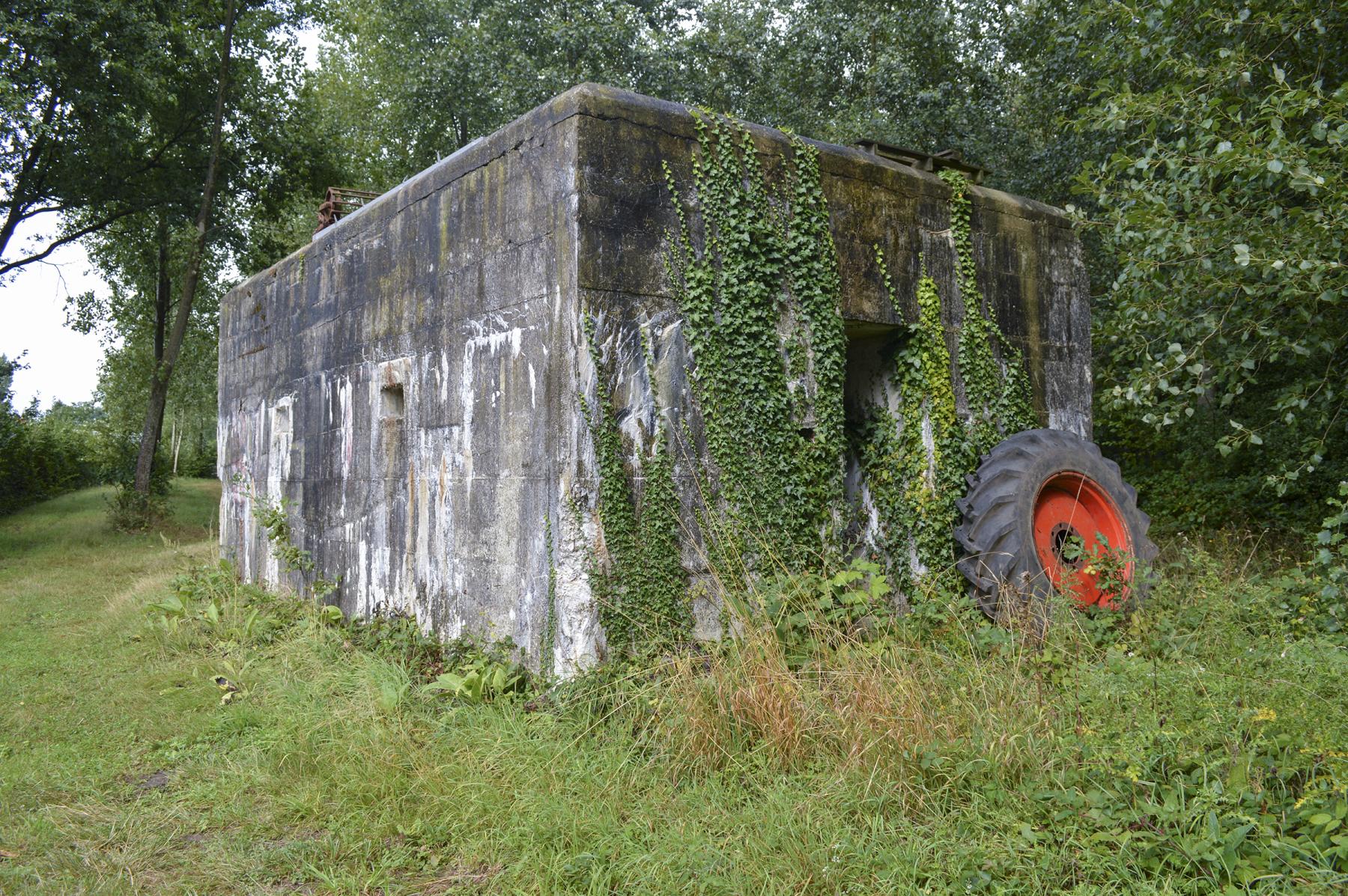 Ligne Maginot - BEF 384 - BOIS DE VARLET - (Abri) -  - ukmaginot