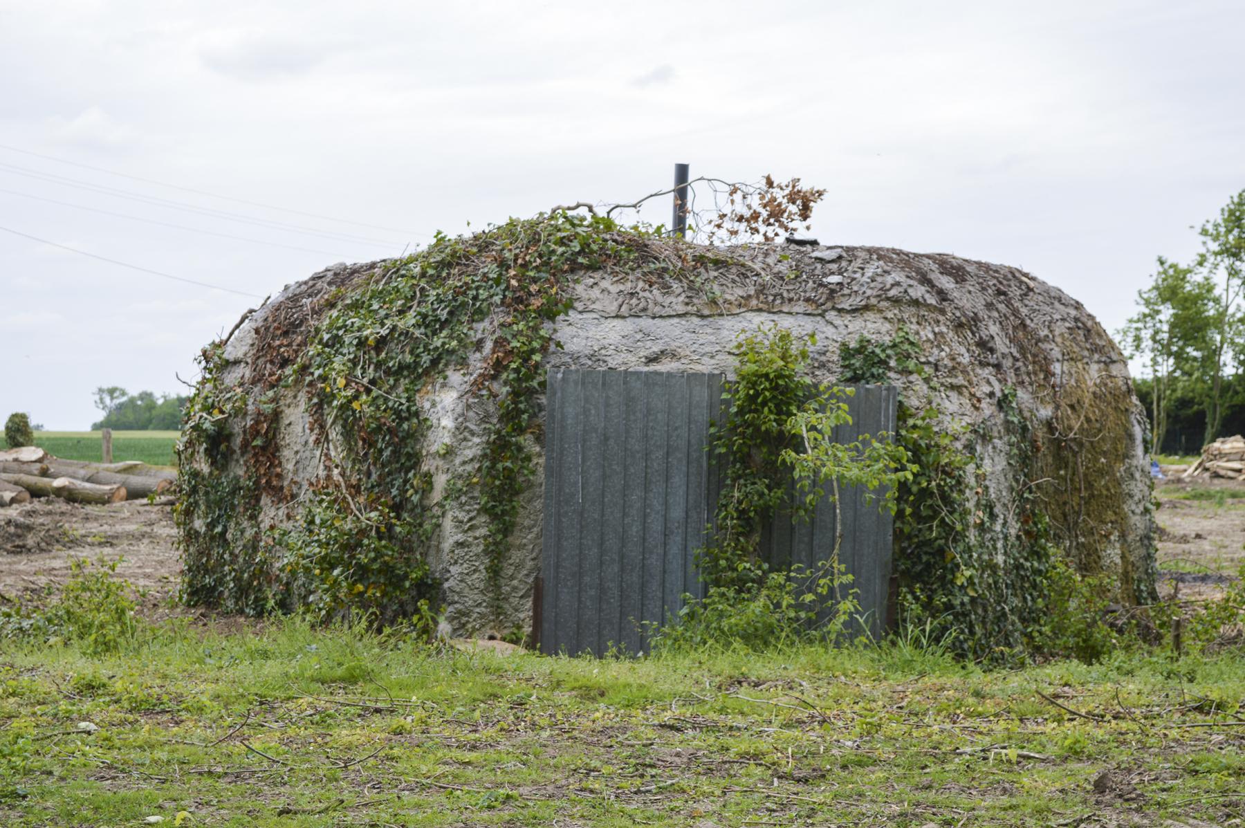 Ligne Maginot - BEF 385 - BOIS DE BERCU - (Blockhaus pour arme infanterie) -  - ukmaginot