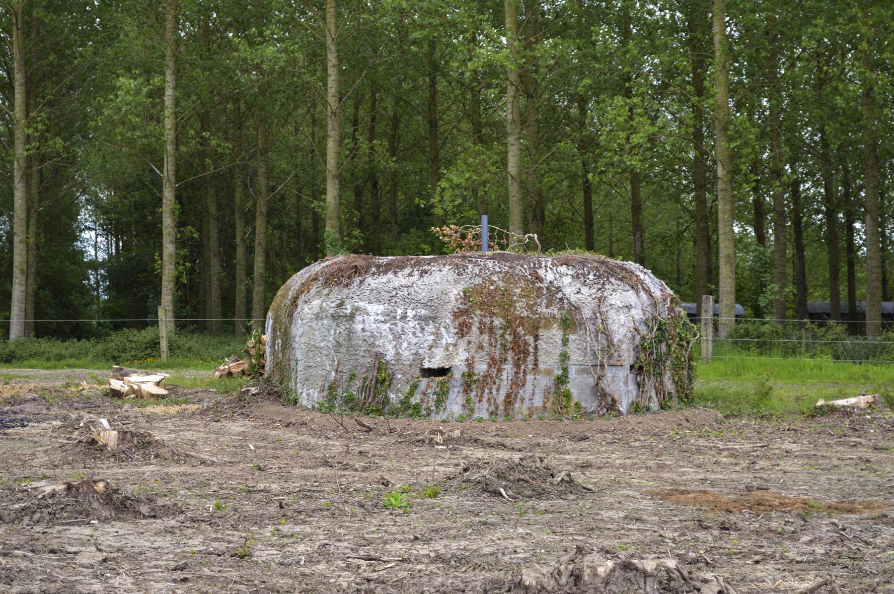 Ligne Maginot - BEF 385 - BOIS DE BERCU - (Blockhaus pour arme infanterie) -  - ukmaginot
