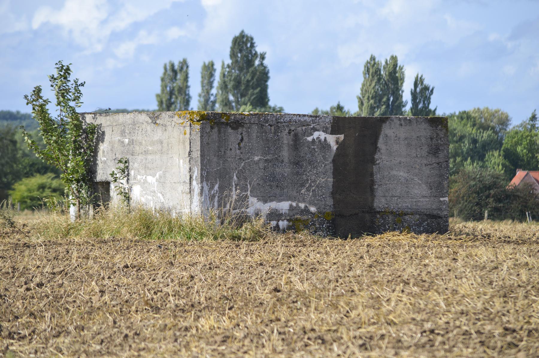 Ligne Maginot - BEF 568B - CRINQUET OUEST 2 - (Blockhaus pour arme infanterie) -  - ukmaginot