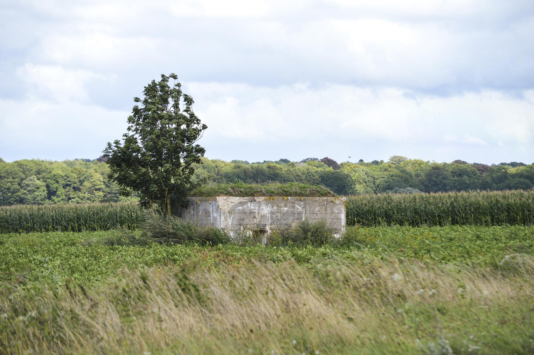 Ligne Maginot - BEF 571A - CRINQUET EST 1 - (Blockhaus pour arme infanterie) -  - ukmaginot