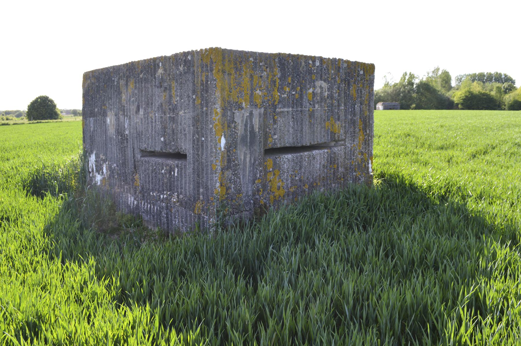Ligne Maginot - BEF 358 - HAUT DES MARLIERES NORD 2 - (Observatoire d'infanterie) -  - ukmaginot