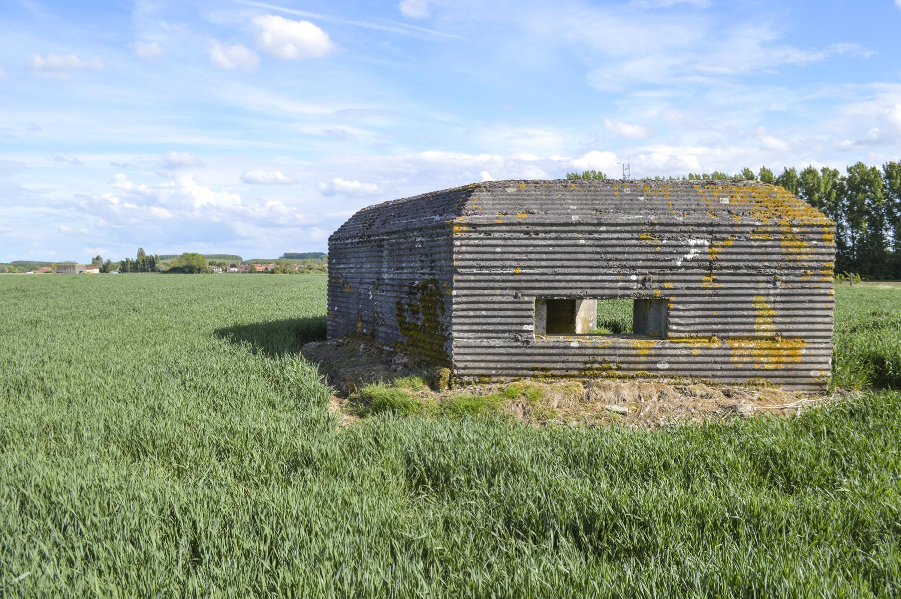 Ligne Maginot - BEF 362 - HAUT DES MARLIERES NORD 1 - (Blockhaus pour canon) -  - ukmaginot