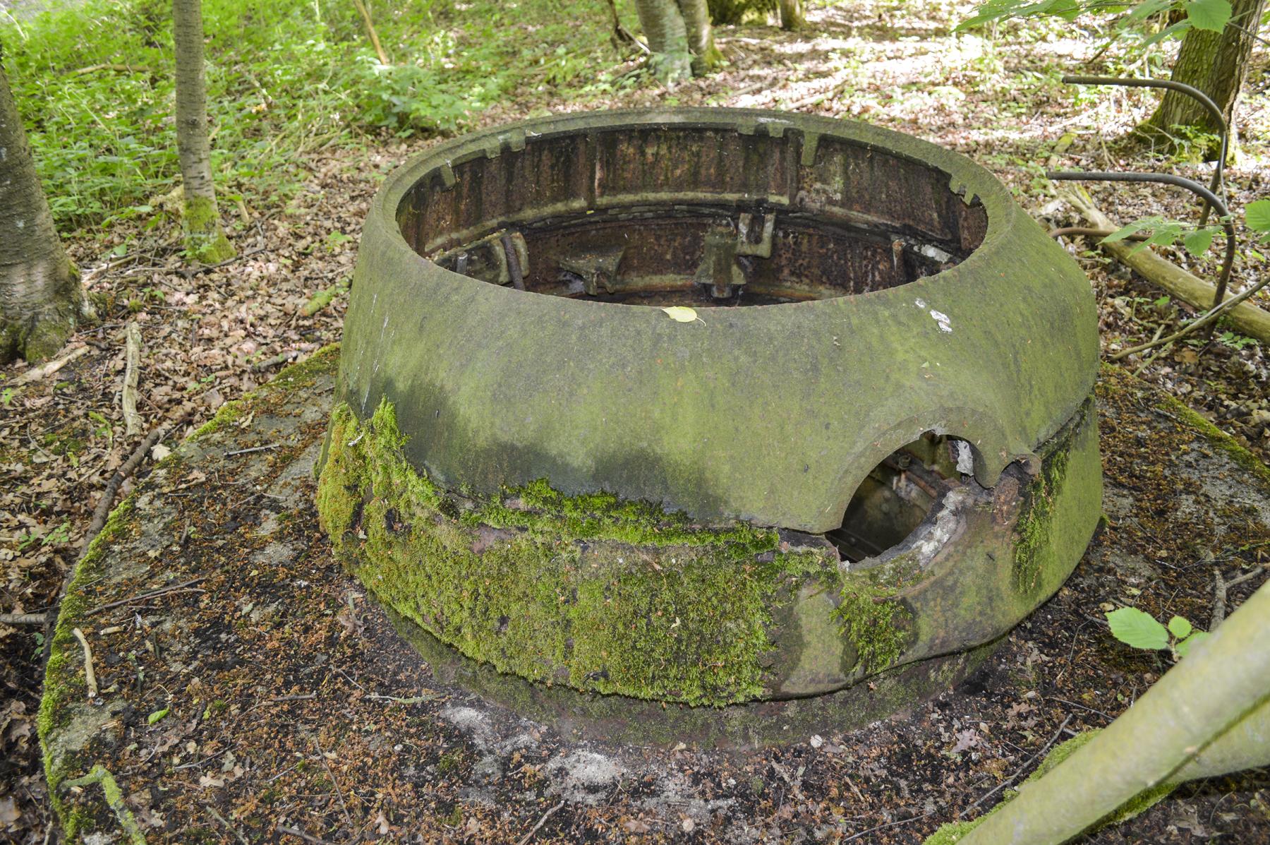Ligne Maginot - T8 - BOIS DE LA TASSONNIERE EST (TD N° 358) - (Cuve pour arme d'infanterie) -  - ukmaginot