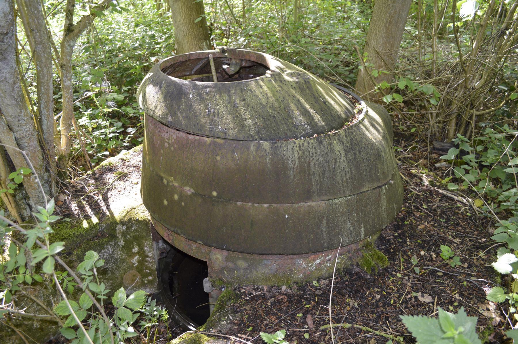 Ligne Maginot - T7 - BOIS DE LA TASSONNIERE OUEST (TD N° 363) - (Cuve pour arme d'infanterie) -  - ukmaginot