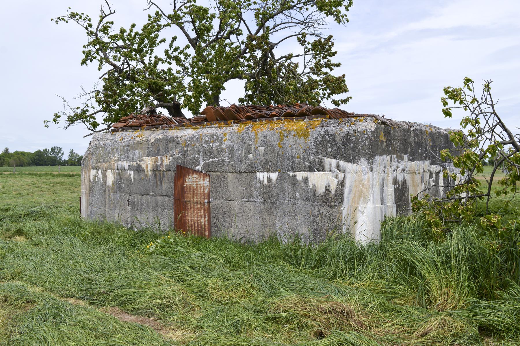 Ligne Maginot - BEF 324 - TILLEUL APOUX - (Blockhaus pour arme infanterie) -  - ukmaginot