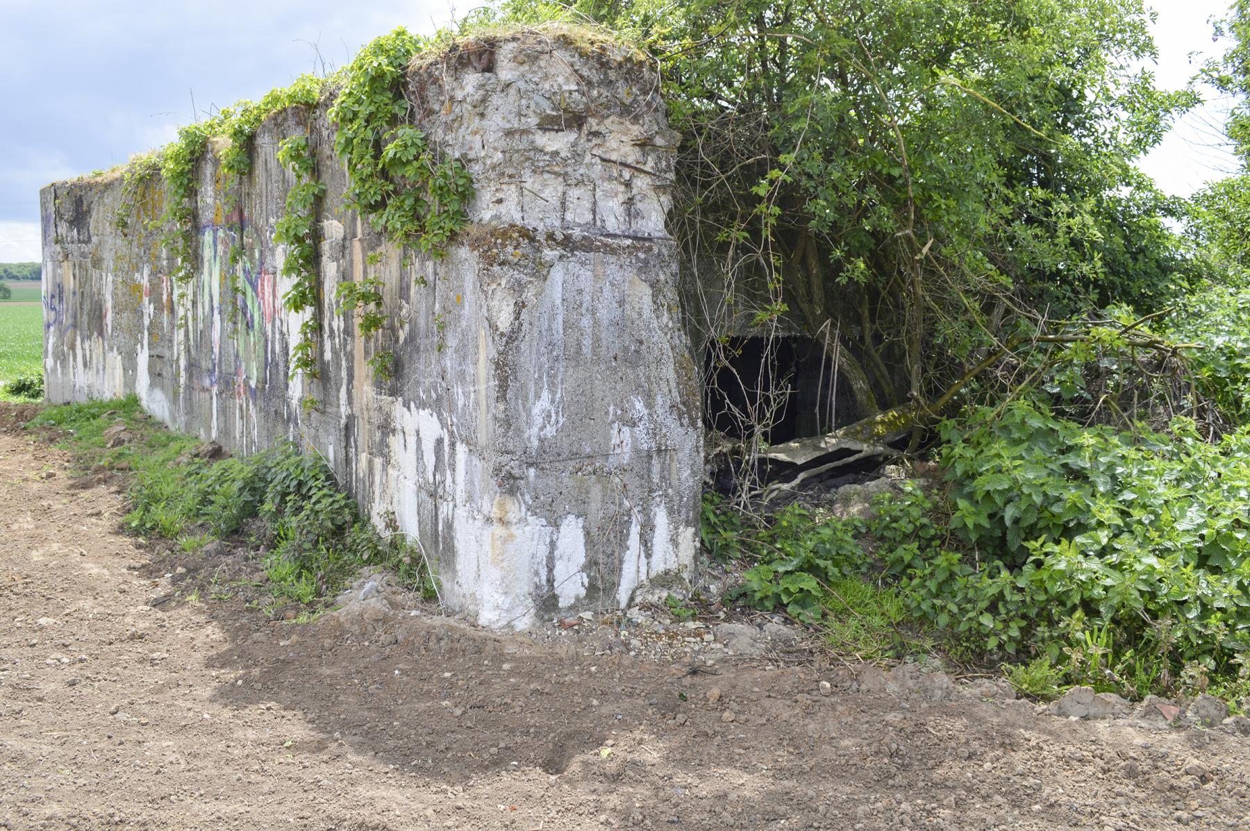 Ligne Maginot - BEF 294 - L'EPINE NORD OUEST - (Blockhaus pour canon) - L'entrée - ukmaginot