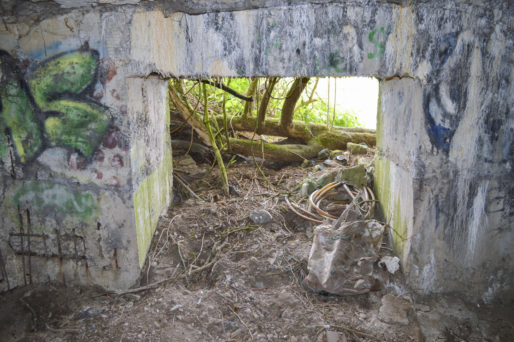 Ligne Maginot - BEF 294 - L'EPINE NORD OUEST - (Blockhaus pour canon) - L'entrée - ukmaginot