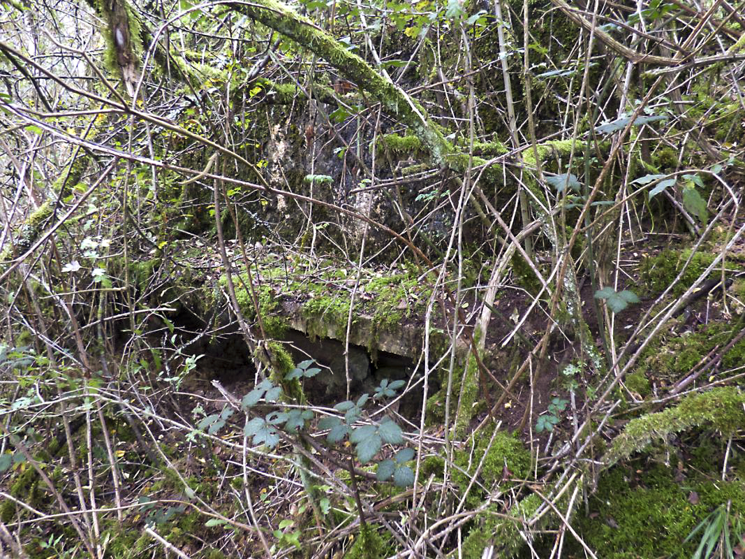 Ligne Maginot - BB1-A - LES TRIEUX NORD - (Blockhaus pour canon) -  - JMBrams