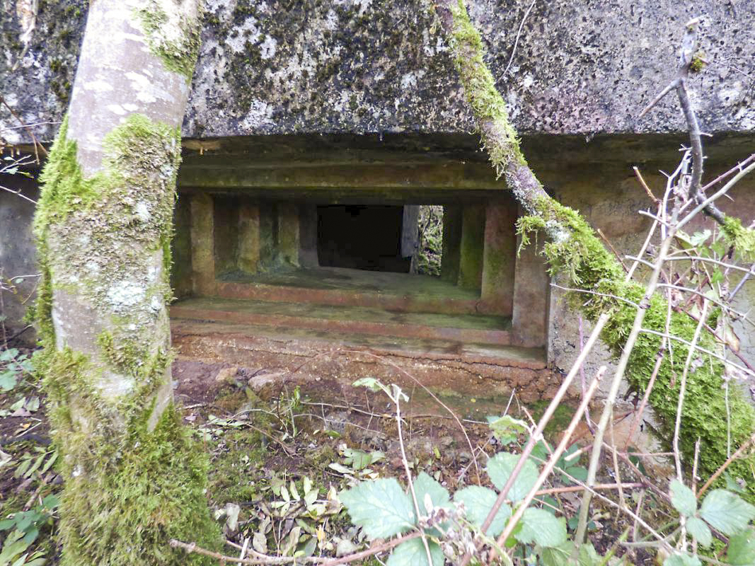 Ligne Maginot - BB1-A - LES TRIEUX NORD - (Blockhaus pour canon) -  - JMBrams
