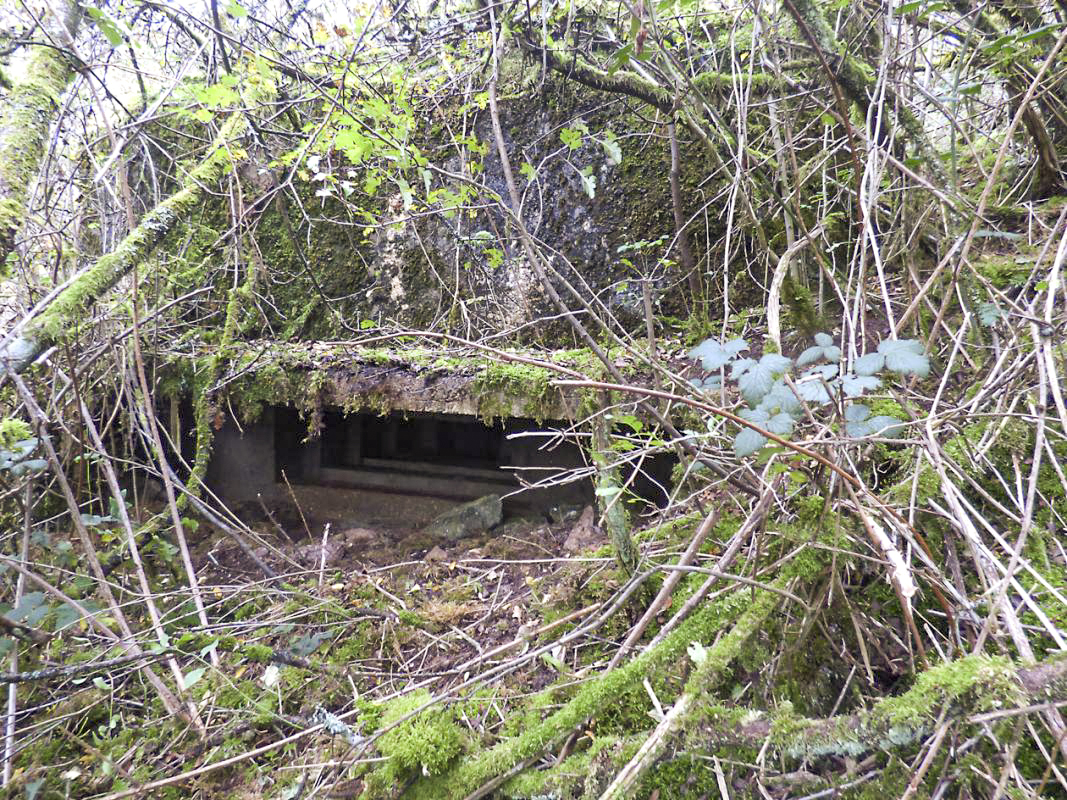 Ligne Maginot - BB1-A - LES TRIEUX NORD - (Blockhaus pour canon) -  - JMBrams