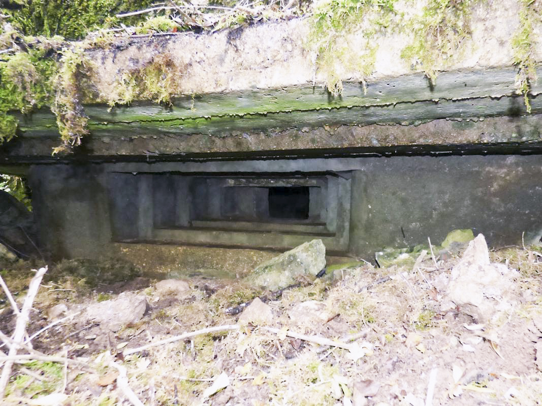 Ligne Maginot - BB1-A - LES TRIEUX NORD - (Blockhaus pour canon) -  - JMBrams
