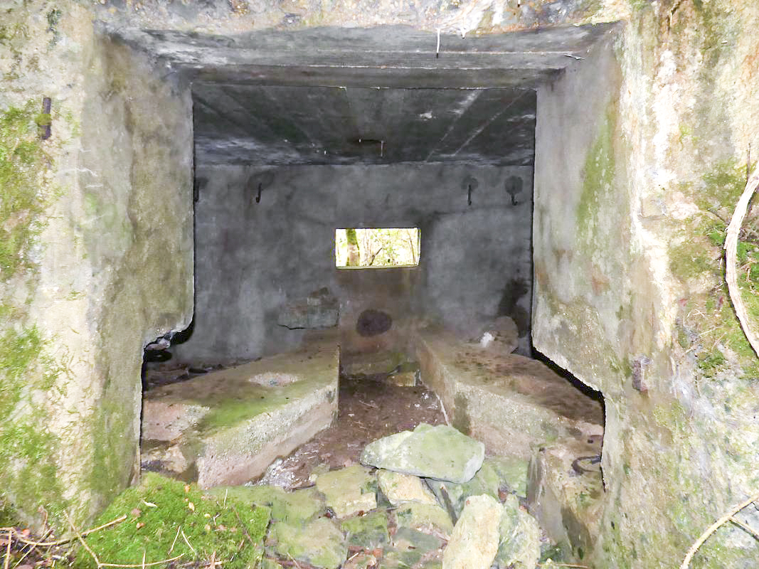 Ligne Maginot - BB1-A - LES TRIEUX NORD - (Blockhaus pour canon) -  - JMBrams