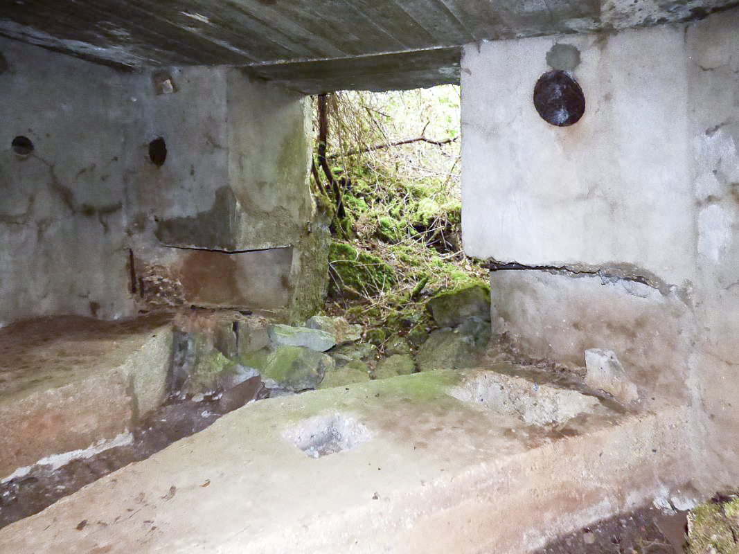 Ligne Maginot - BB1-A - LES TRIEUX NORD - (Blockhaus pour canon) -  - JMBrams