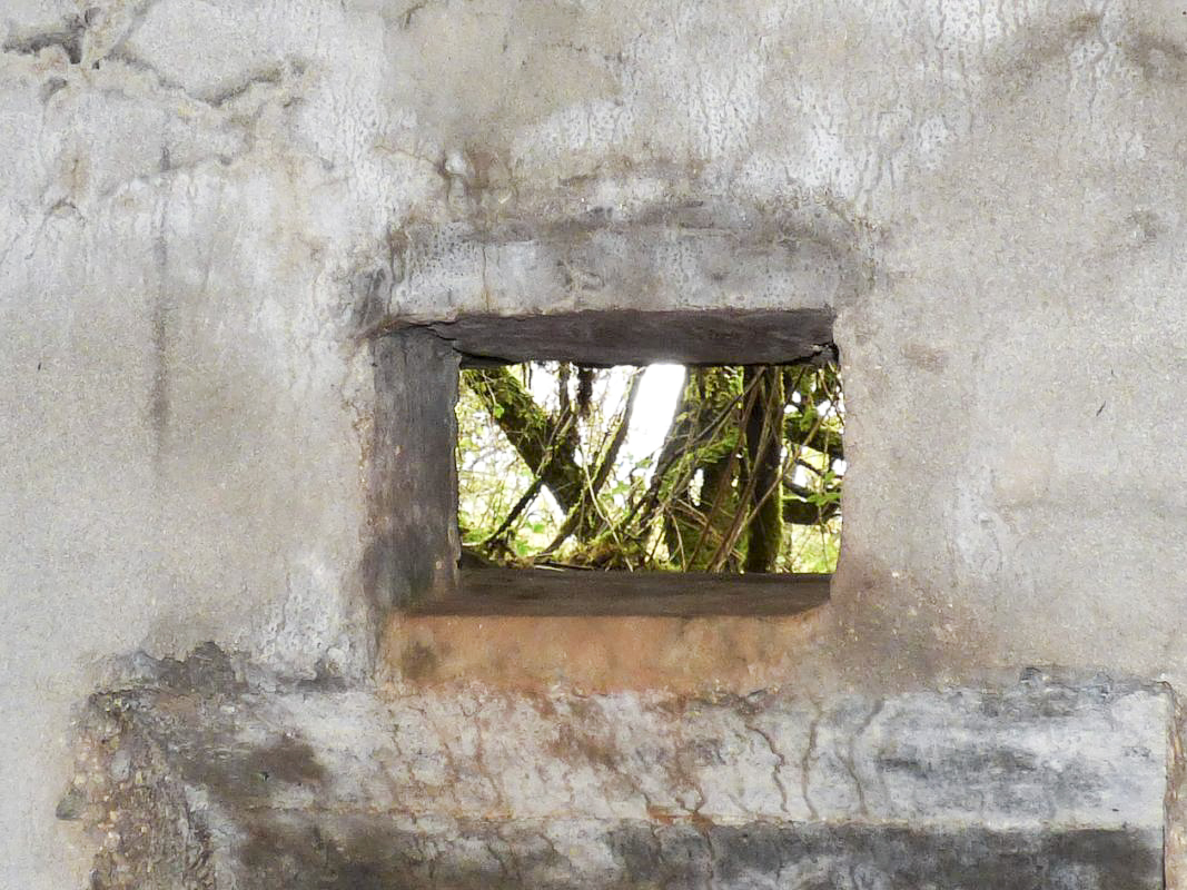 Ligne Maginot - BB1-A - LES TRIEUX NORD - (Blockhaus pour canon) -  - JMBrams