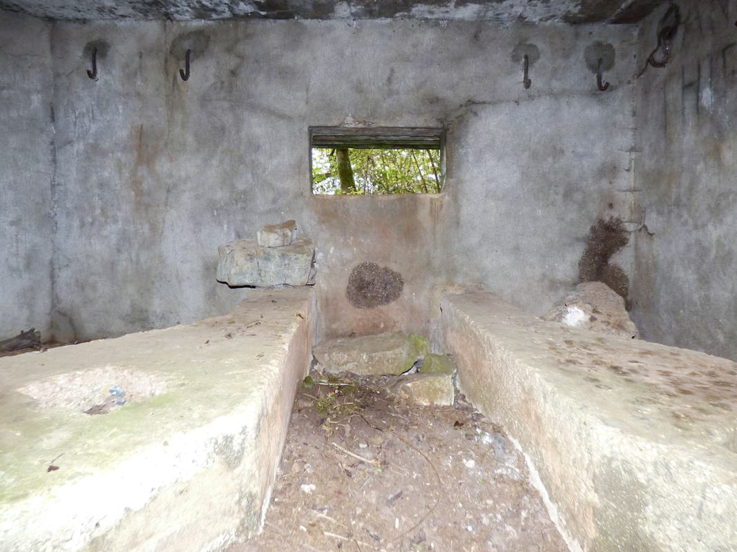 Ligne Maginot - BB1-A - LES TRIEUX NORD - (Blockhaus pour canon) -  - JMBrams